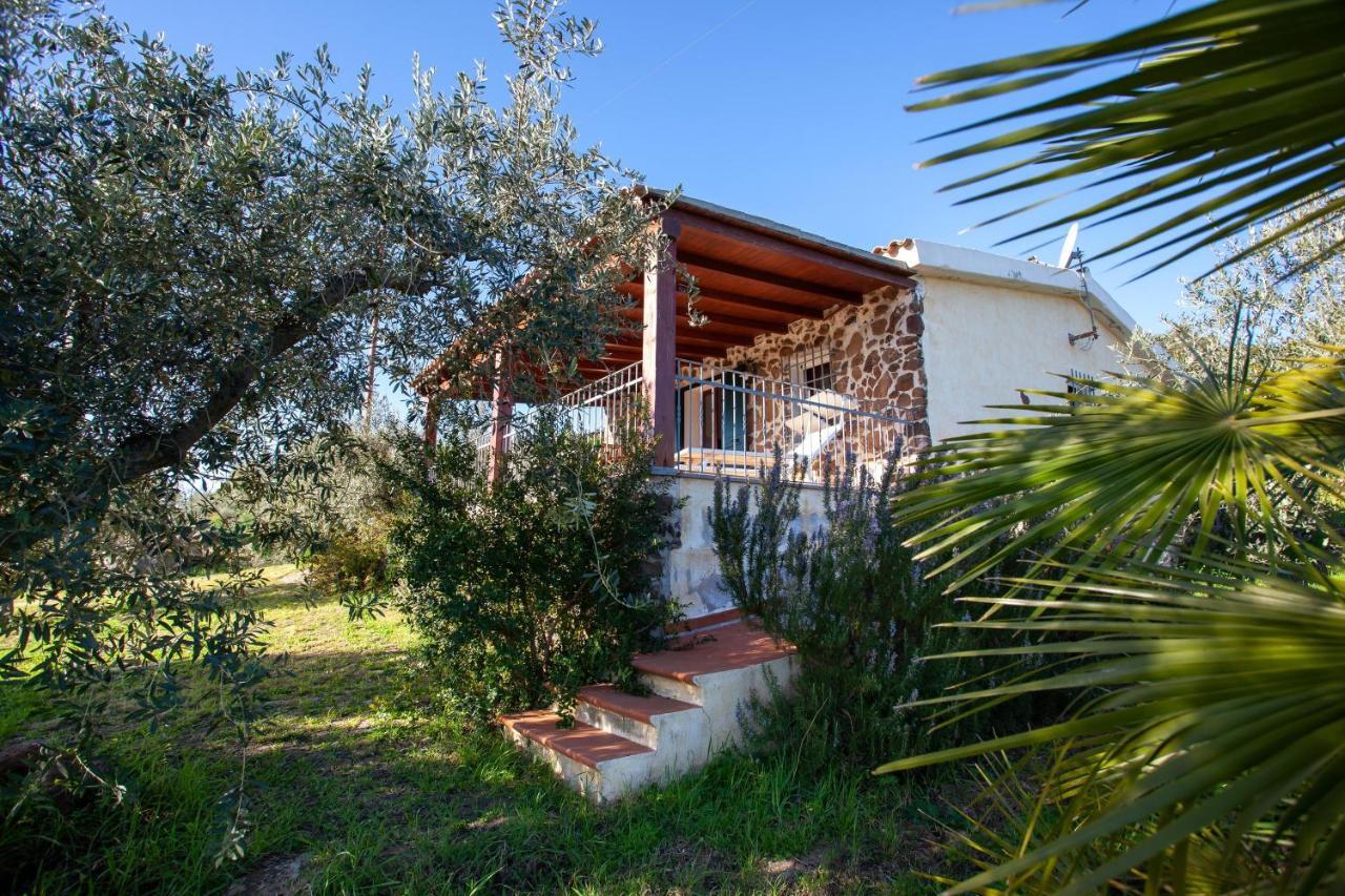 Villa Casa Osala à Orosei Extérieur photo